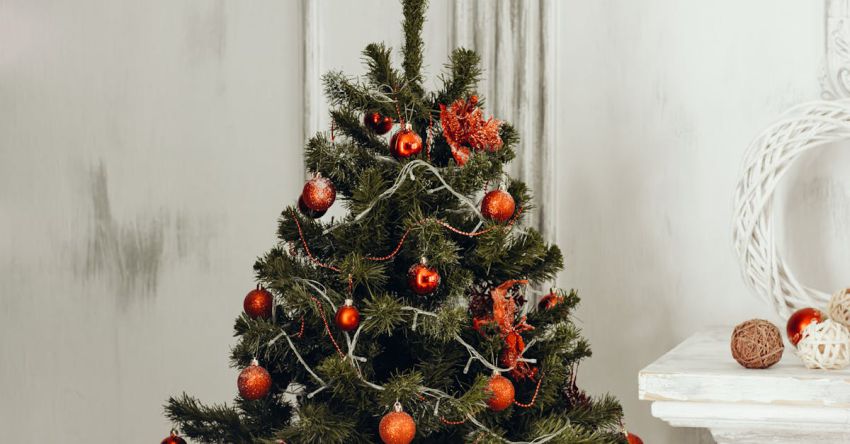 Holidays - Green Christmas Tree With Orange Bauble